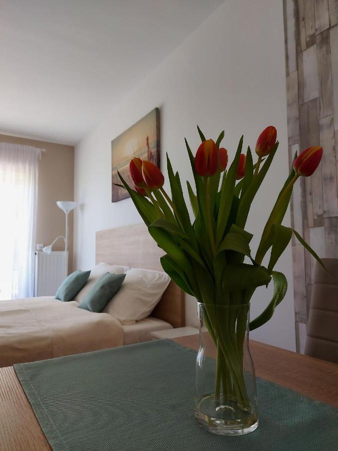 Bike & Spa Velence Apartman Εξωτερικό φωτογραφία